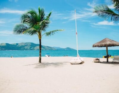 Modern Boutique House